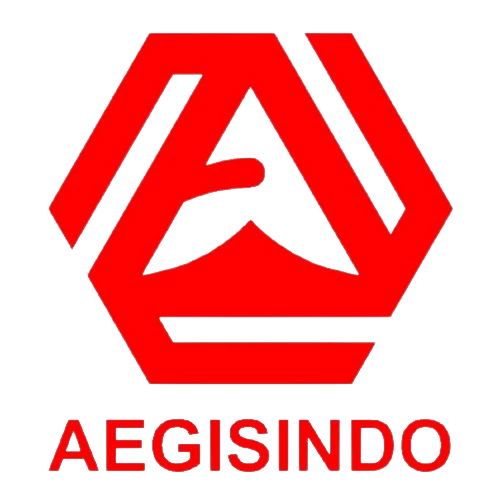 logo pt. aegisindo